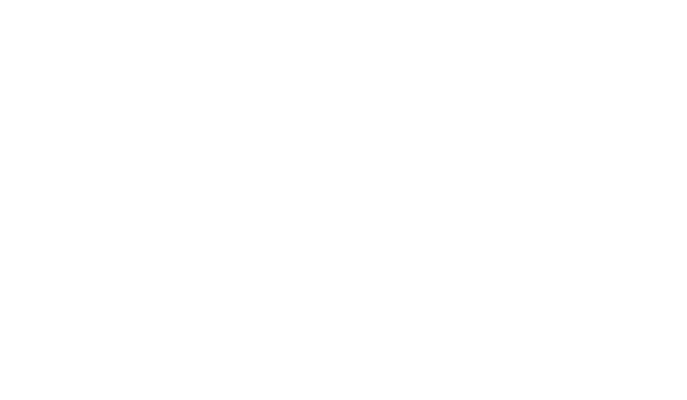 dpw_client_logo_ace_hardware