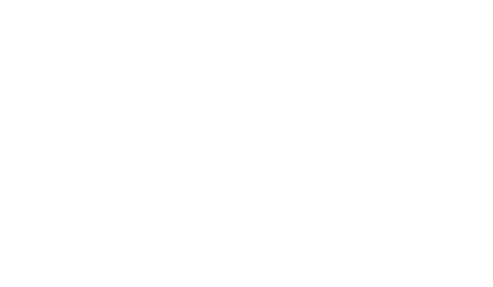 dpw_client_logo_dollar_tree